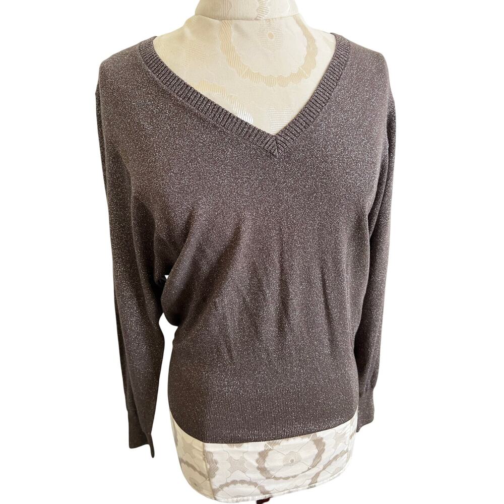 Leo & Sage Sparkly Pullover Long Sleeve V-Neck Sweater NWT XS